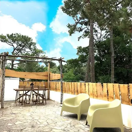 Appart Sous Les Pins 600M Plage Longeville-sur-Mer Esterno foto